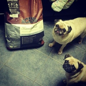 Acana-Dog-Food-lucnh[1]