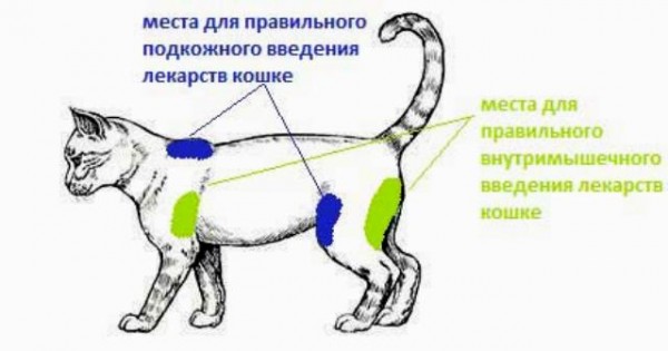 место для инъекции