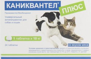 каниквантел для кошек