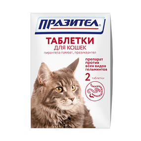 празител для кошек
