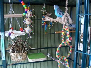 яркие игрушки