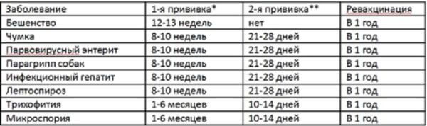 Обязательные прививки для собак 