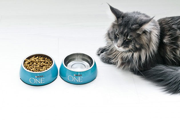 Корма для кошек Purina One разбиты по вкусам