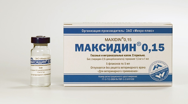 Прежде чем использовать максидин — глаза/нос животного очищают от корочек
