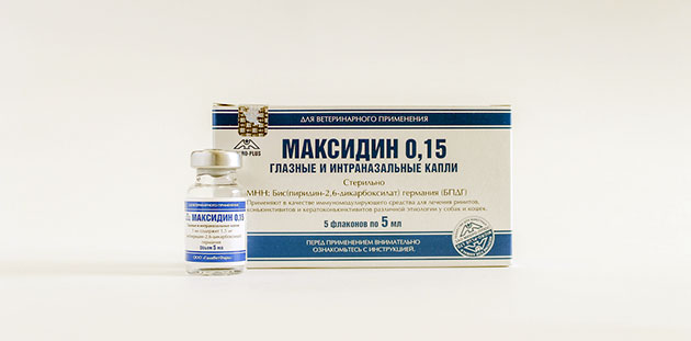 Максидин отличается высокой эффективностью