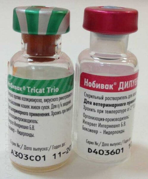 Прививки для кошек вакцина нобивак