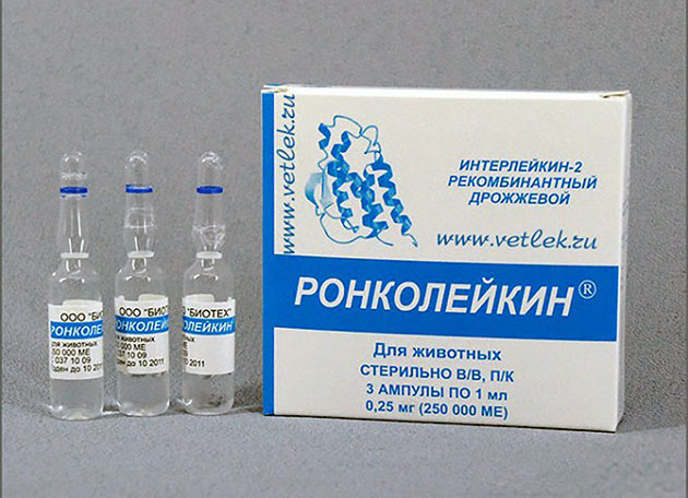 Стандартное время растворения ронколейкина не превышает три минуты