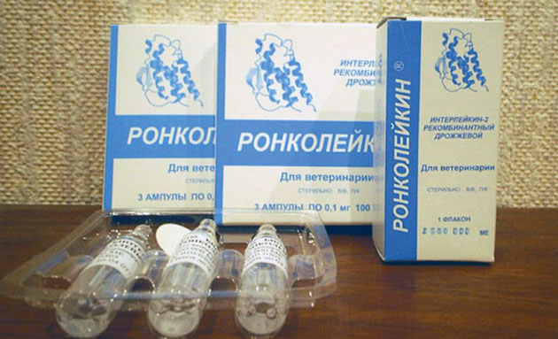 Противопоказание на «Ронколейкин», является наличие у собаки повышенной чувствительности к его активному компоненту