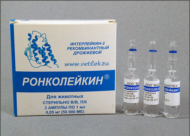Повторно принимать курс «Ронколейкин» следует только после посещения ветеринара
