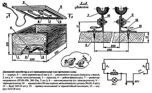 Инкубатор в разрезе