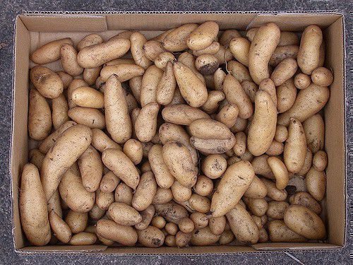 Картофель