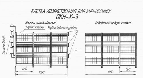 Схема клетки