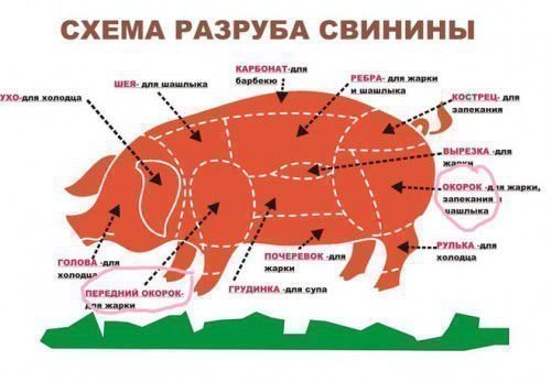 Схема туши