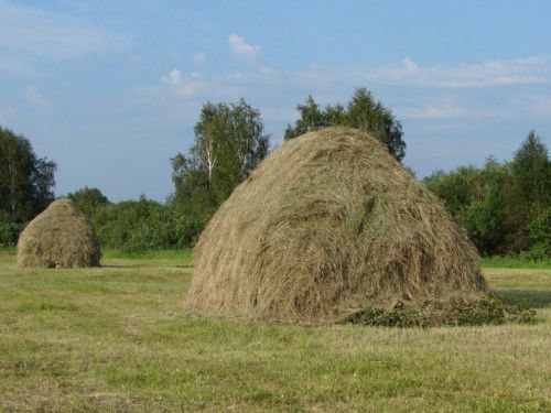 Солома