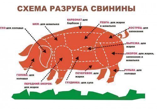 Схема разделки