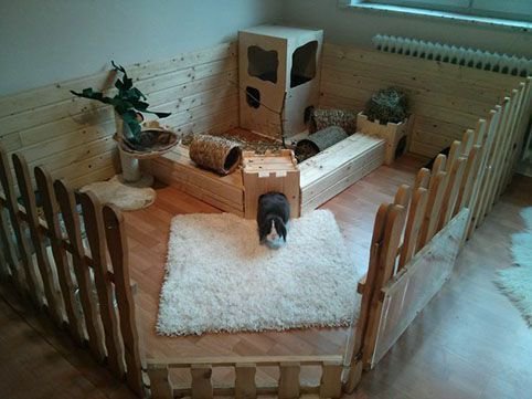 Вольер для прогулок