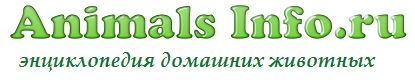 Энциклопедия домашних животных