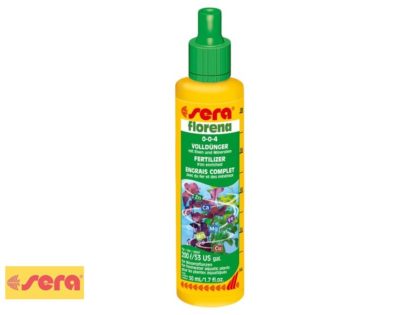 sera_florena-50