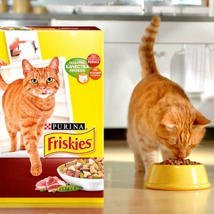 Корм Friskies