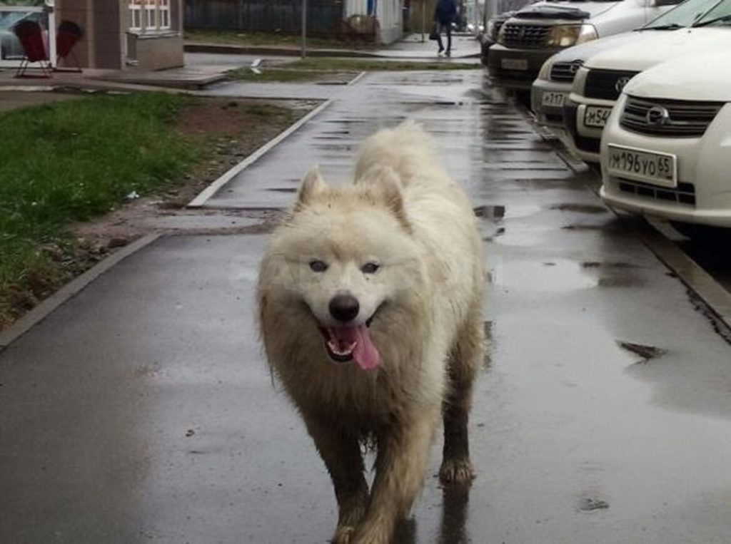- Чуть, чуть испачкался...