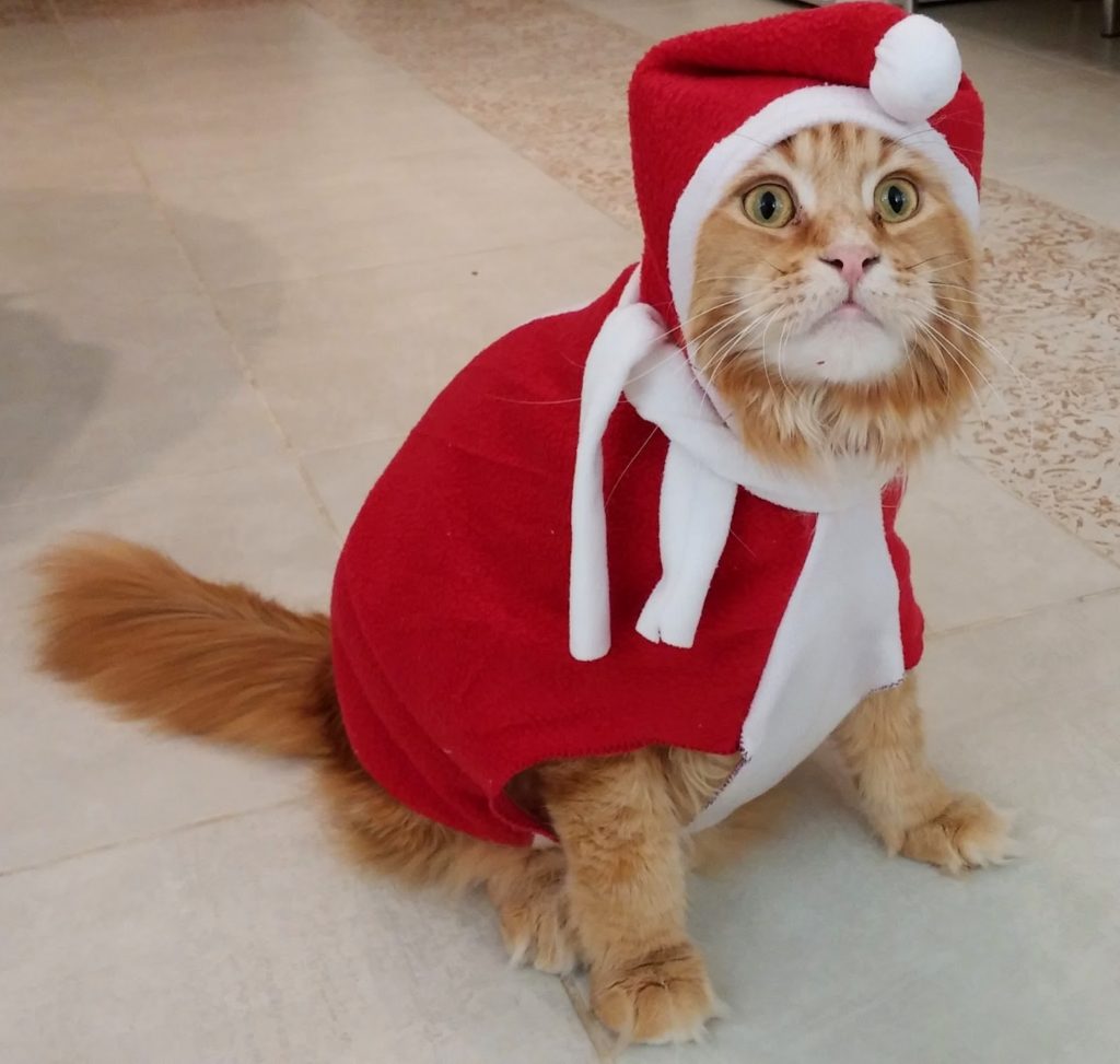 Новогодний