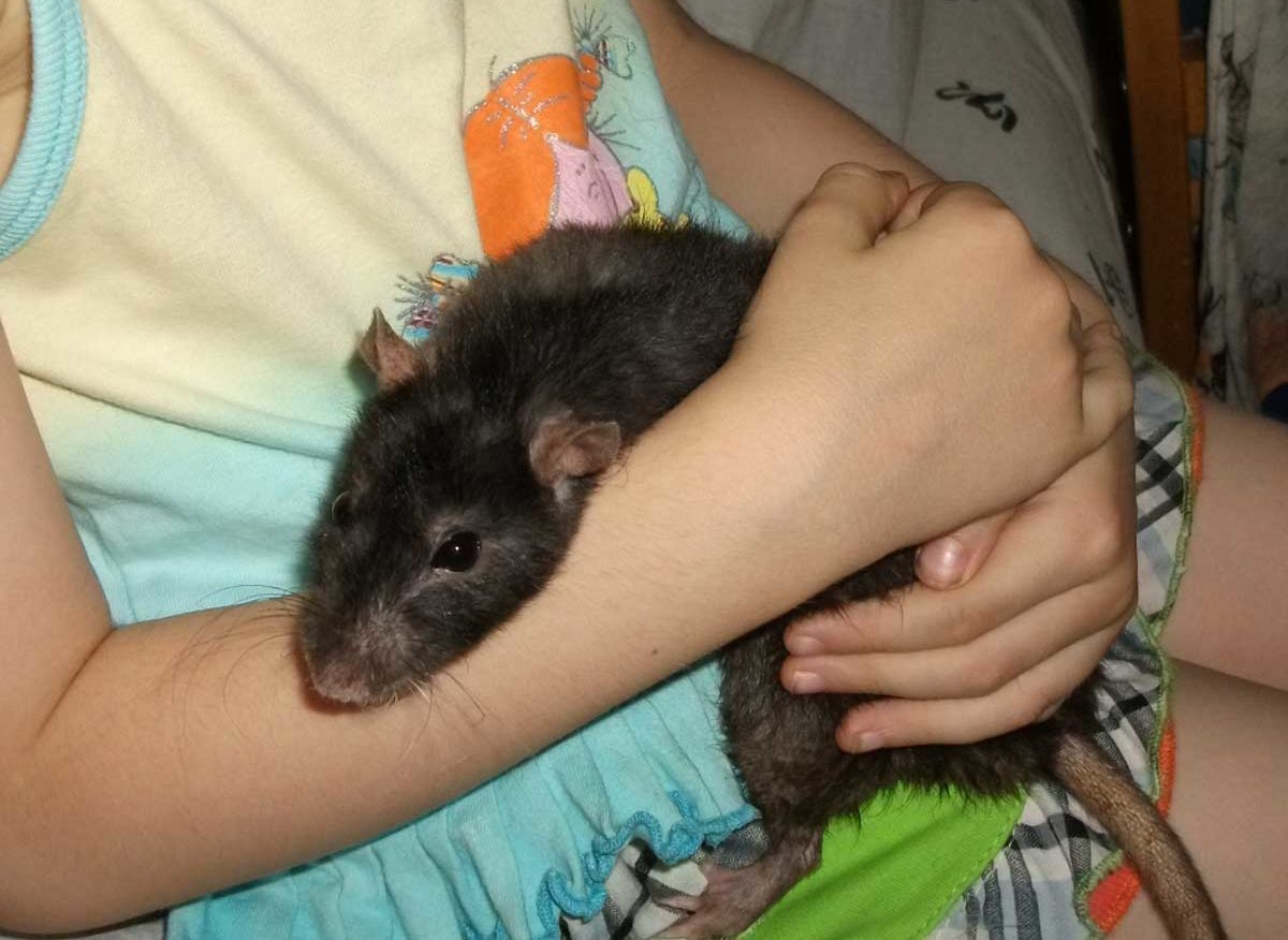 Лучшие друзья