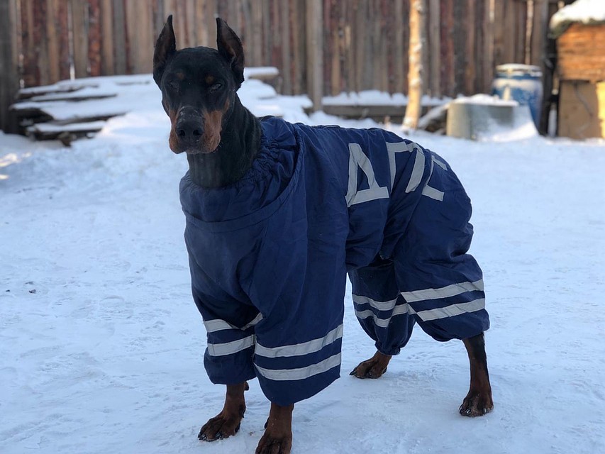 Полицейский