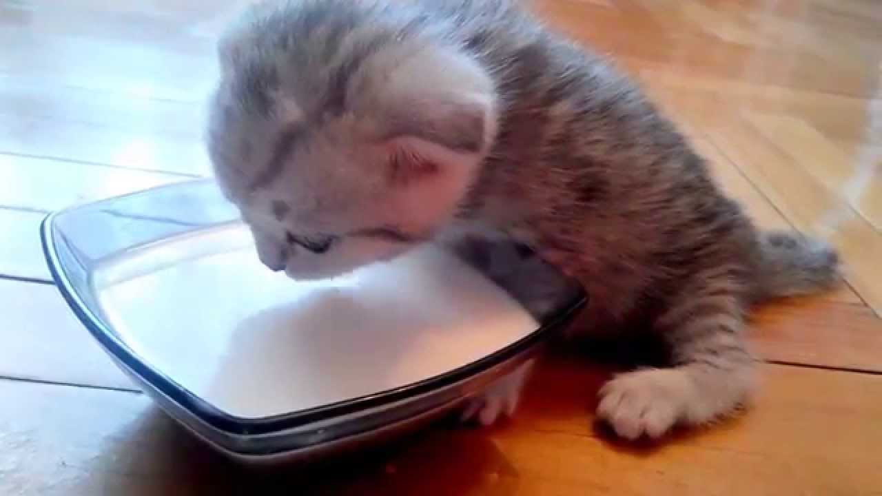 Молочко