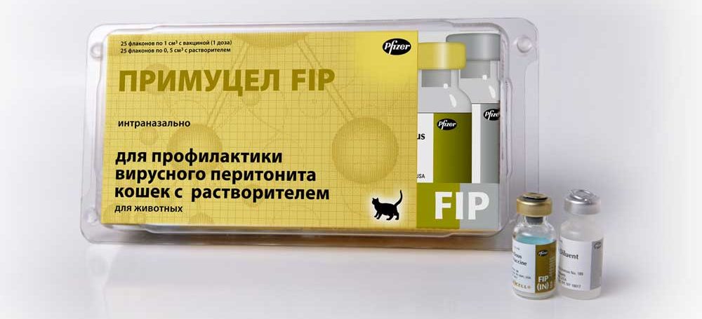 Вакцина