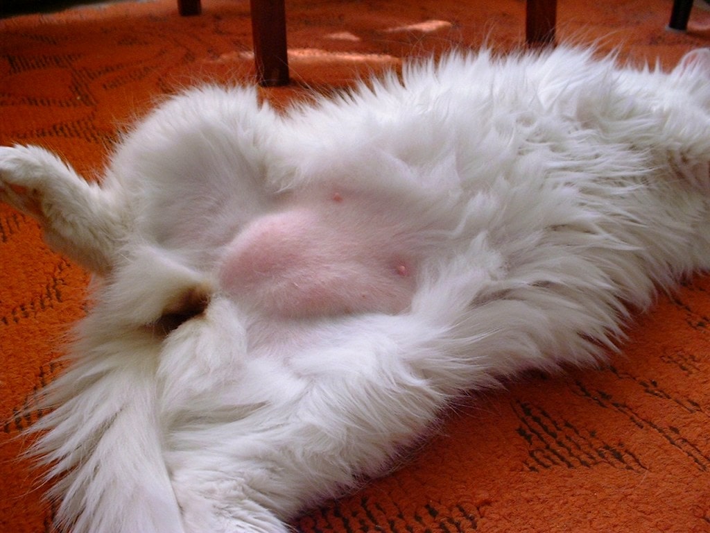 профилактика опухолей