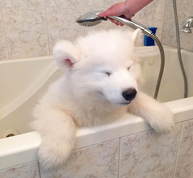 Водные процедуры