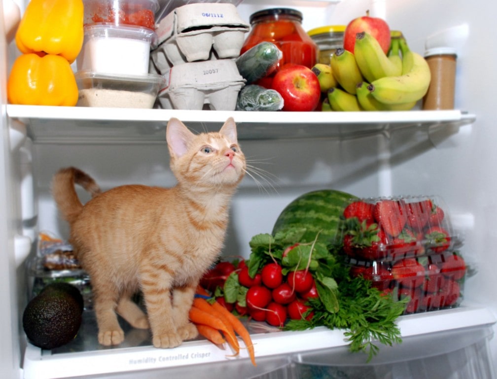 список аллергенных продуктов