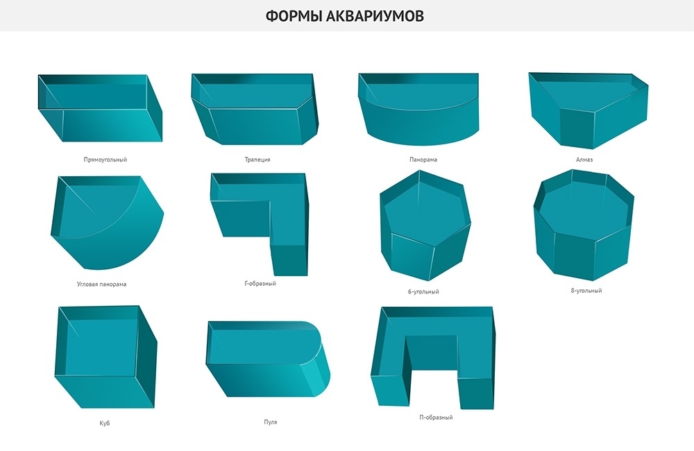 устройство аквариума для рыб