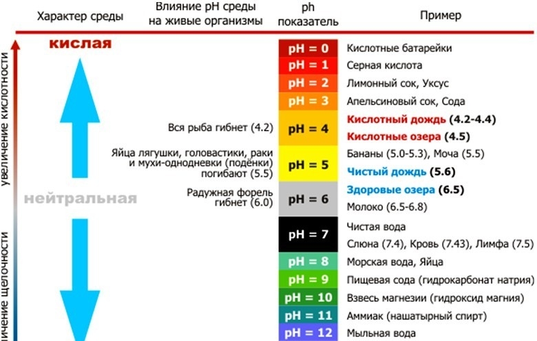 Кислотность воды в аквариуме (ph воды)
