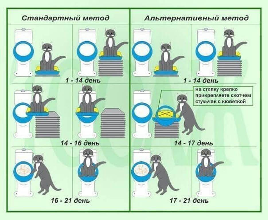 алгоритм