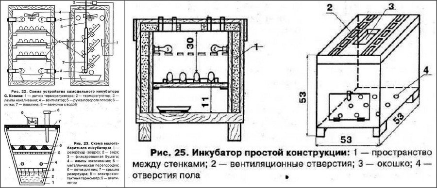 Инкубация гусиных яиц в домашних условиях 