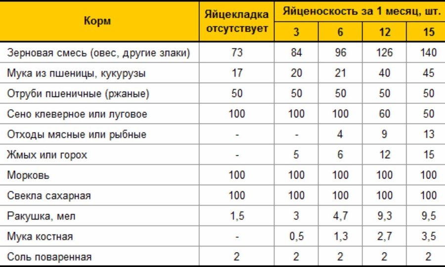 Кормление гусей 