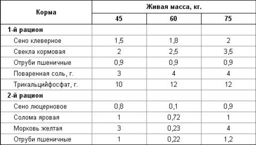 Разведение коз в домашних условиях для начинающих 