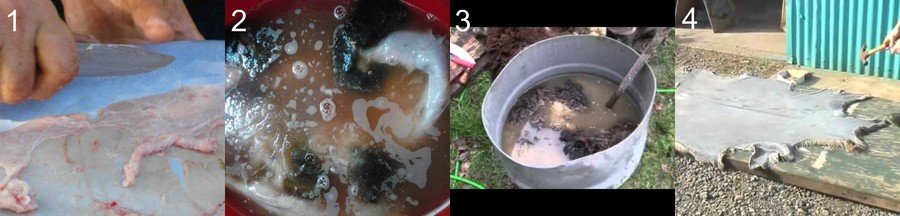 Выделка шкуры козы в домашних условиях 