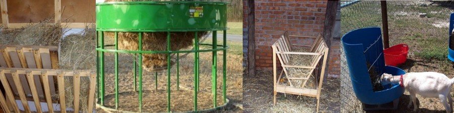 Содержание и уход за козами в домашнем хозяйстве 