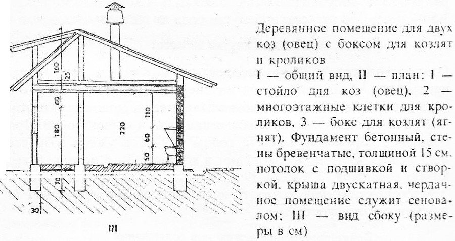 Содержание и уход за козами в домашнем хозяйстве 