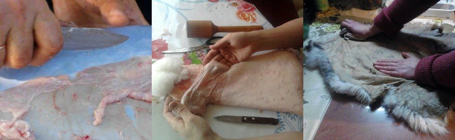 Выделка шкур кролика 
