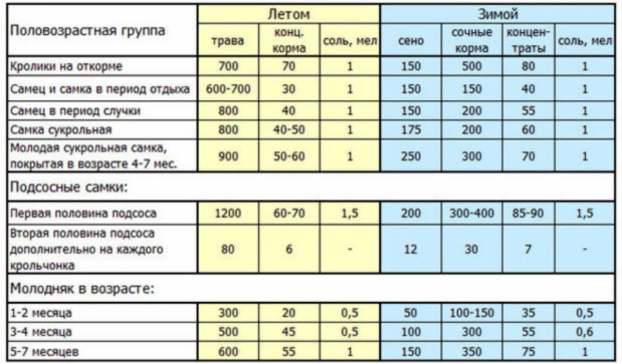 Чем кормить кроликов: в домашних условиях 