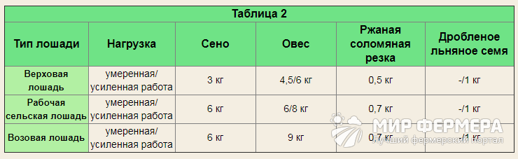 Кормление лошадей 