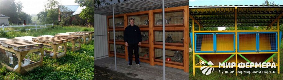 Клетки для кроликов своими руками 