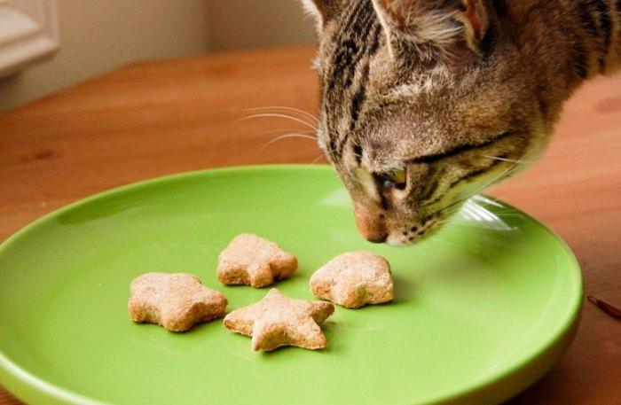 хороший корм для кошек